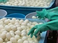 �X�܎ʐ^�E���S