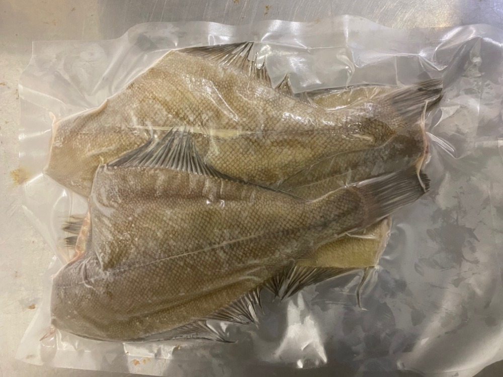 【有償サンプル】一夜干し白カレイ（宗八・そうはち）500g3枚入