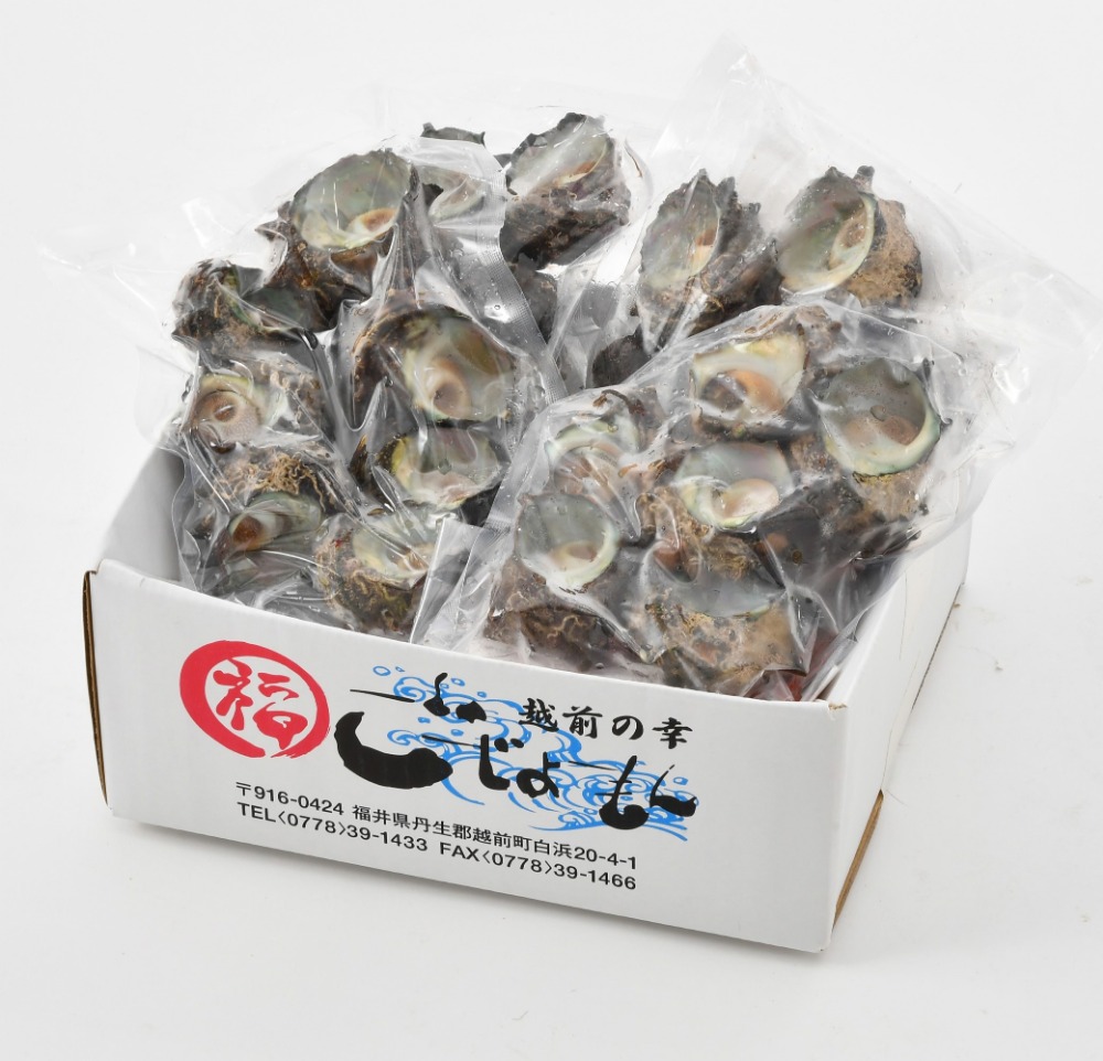 【福井県産】冷凍サザエ　小サイズ　500g入（5〜8個）