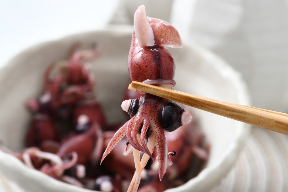 急速冷凍ホタルイカ　21尾(約150g)