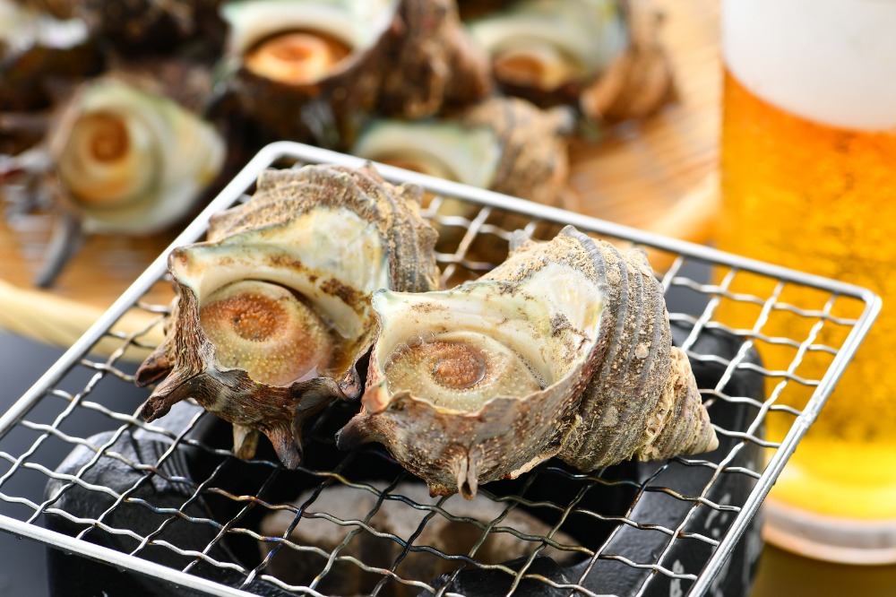 【有償サンプル】冷凍サザエ　小サイズ　500g入（5〜8個）