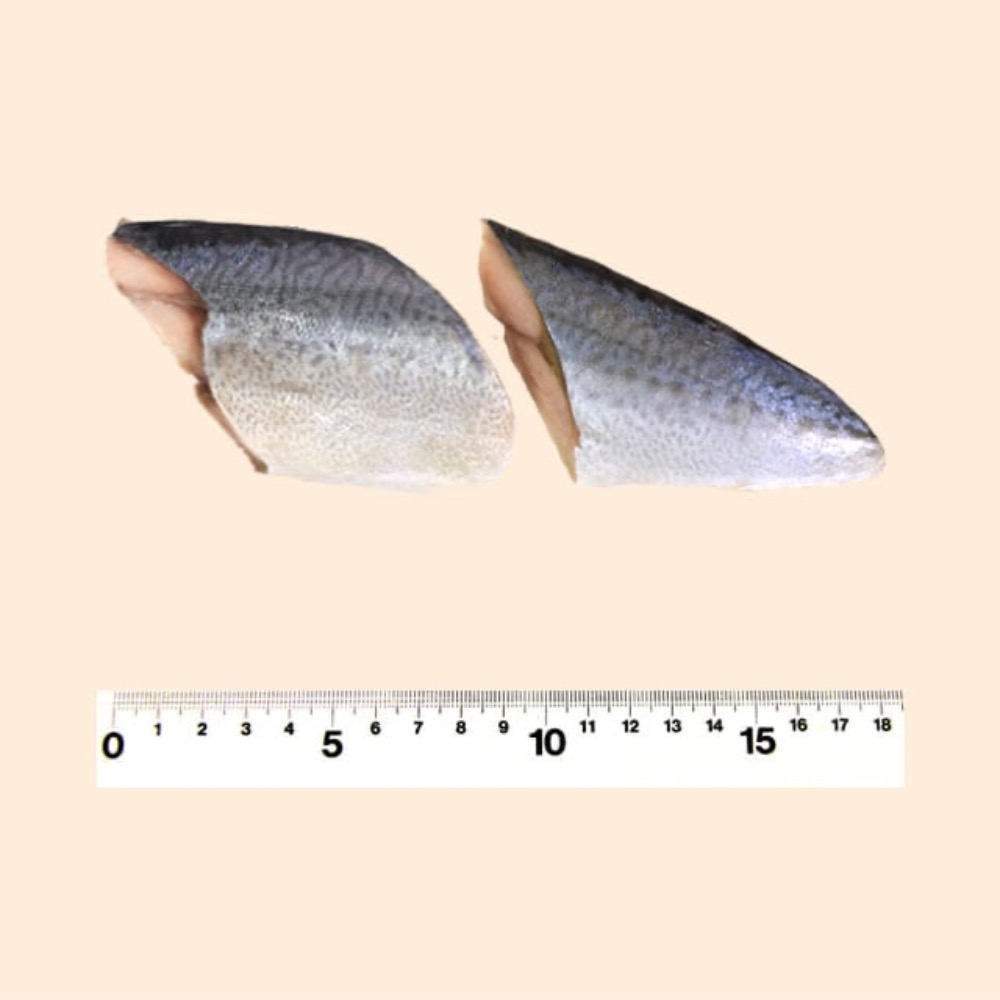 さば切り身　骨取り(無塩)