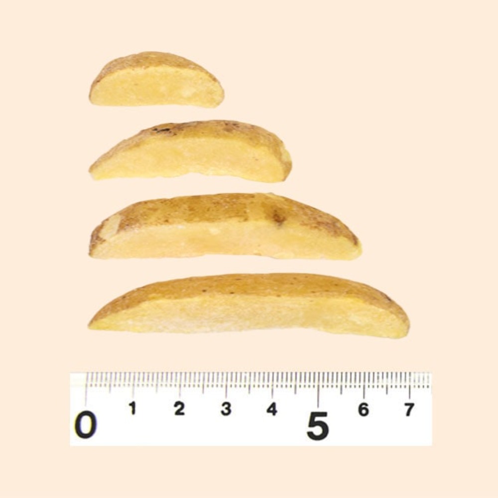 フライドポテト　ナチュラル