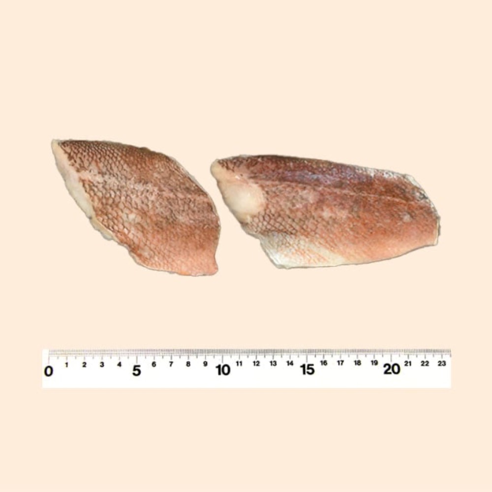 メバル切り身　骨取り(無塩)　50g