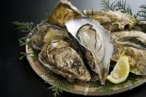 �X�܎ʐ^�E���S