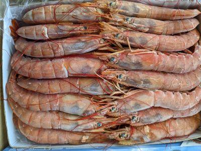アルゼンチン　アカエビ　L-1サイズ　2キロ約30尾　生食可