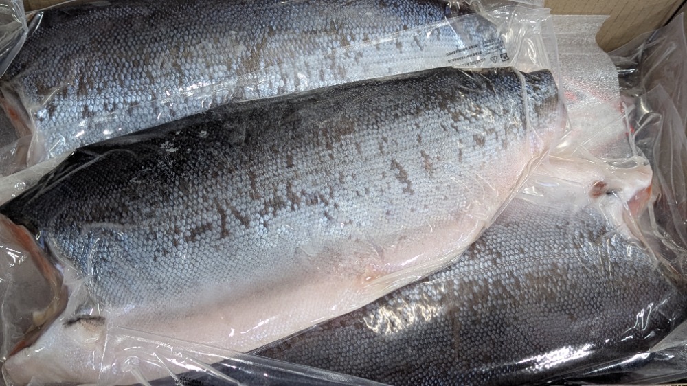 定塩銀鮭フィーレ　現地加工ワンフローズン