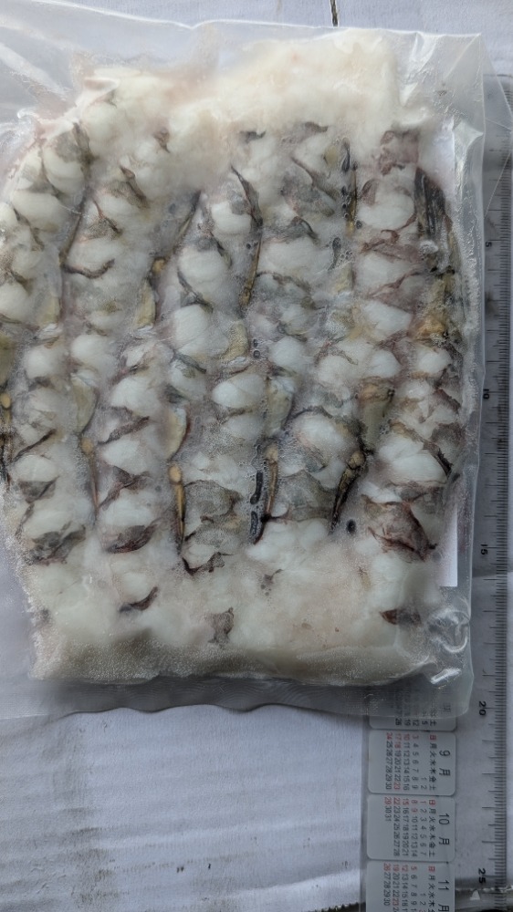 BT尾付き伸ばし海老29g　8-12サイズ　