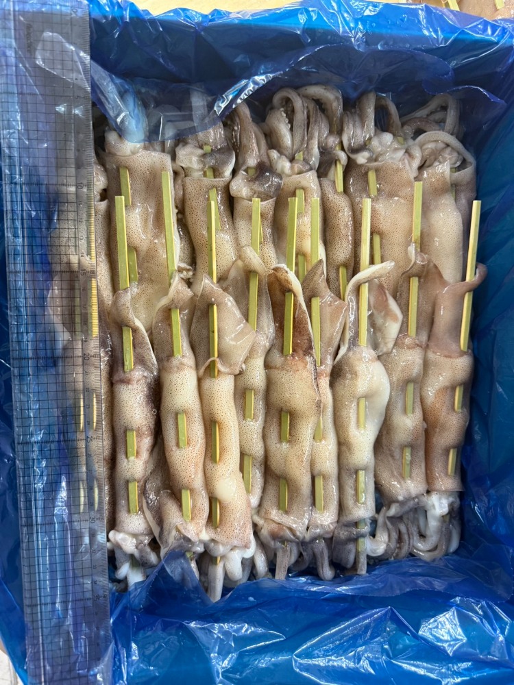 イカ焼き　半身　イカ串　下足付き　串うち済　平串30ｃｍ　