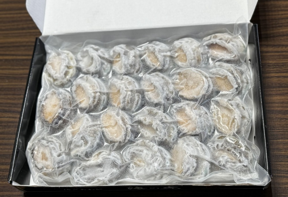 活〆殻付きエゾアワビ（海の虎）　41/50(1キロ)　刺身用