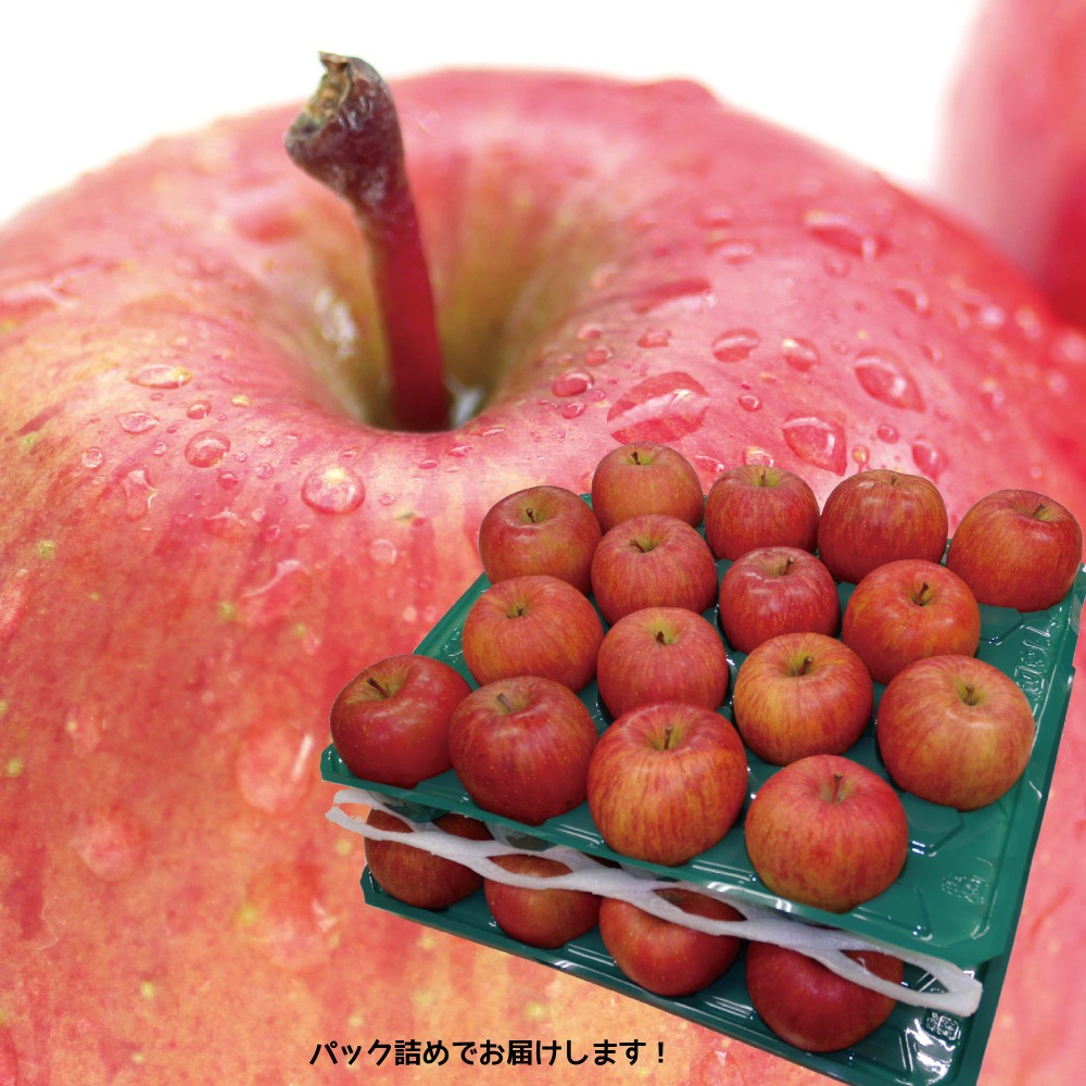 �y�����ʁz�X���Y��񂲁@�󂠂�@�T���ӂ��^10kg�@