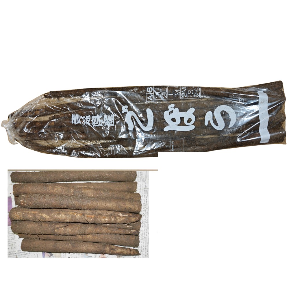 �X���Y�@�y�t�@���ڂ��@�QL�`�RL�@4�����@