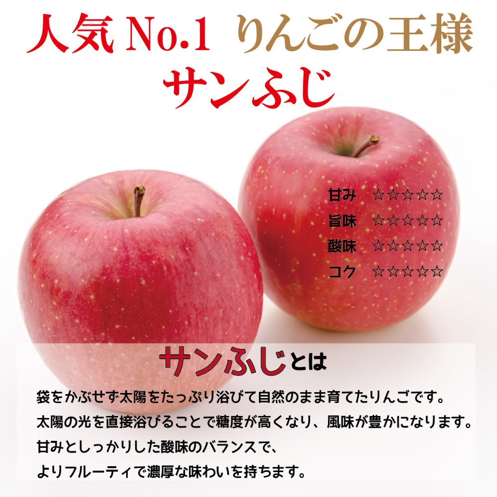 青森県産りんご訳あり加工用　サンふじ10kg