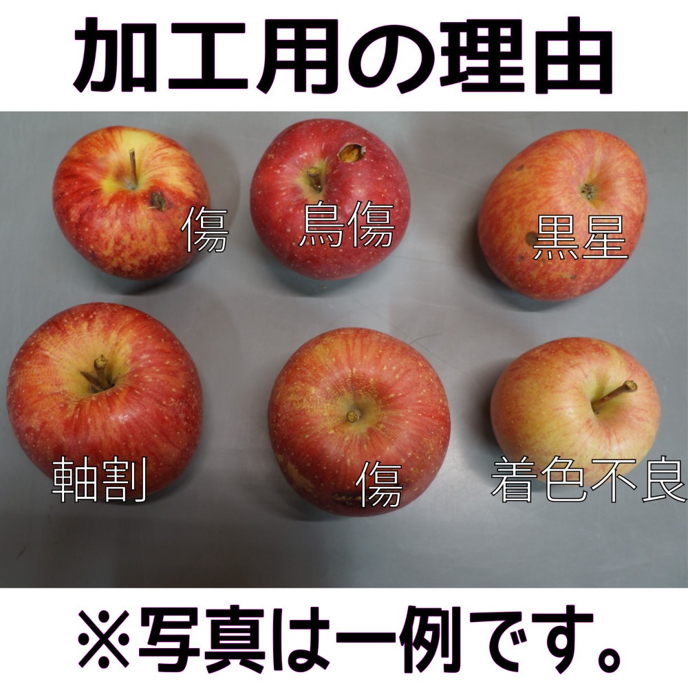 青森県産りんご訳あり加工用　サンふじ10kg
