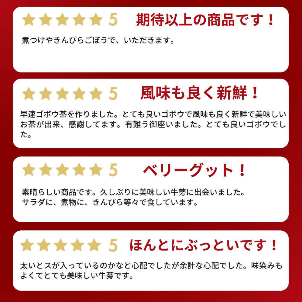 青森県産　土付　ごぼう　２L〜３L　4ｋｇ　