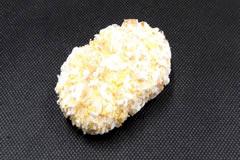 【大好評】スパイシーカレーの包み揚げ35g