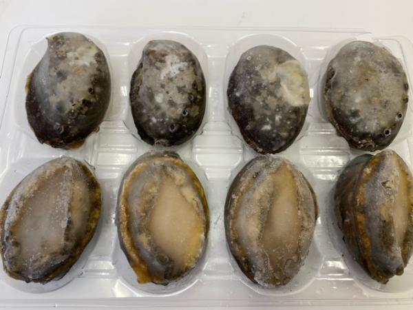 【そのまま旨い】酒蒸し鮑8粒　●