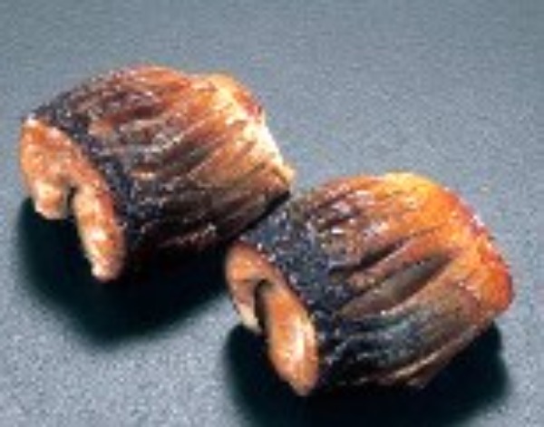 �y�������Ől�C�z����ܗS���Ă��@��