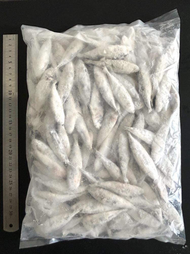 �y���̂�������l���Y�V���ׁz�������ł����t���@��