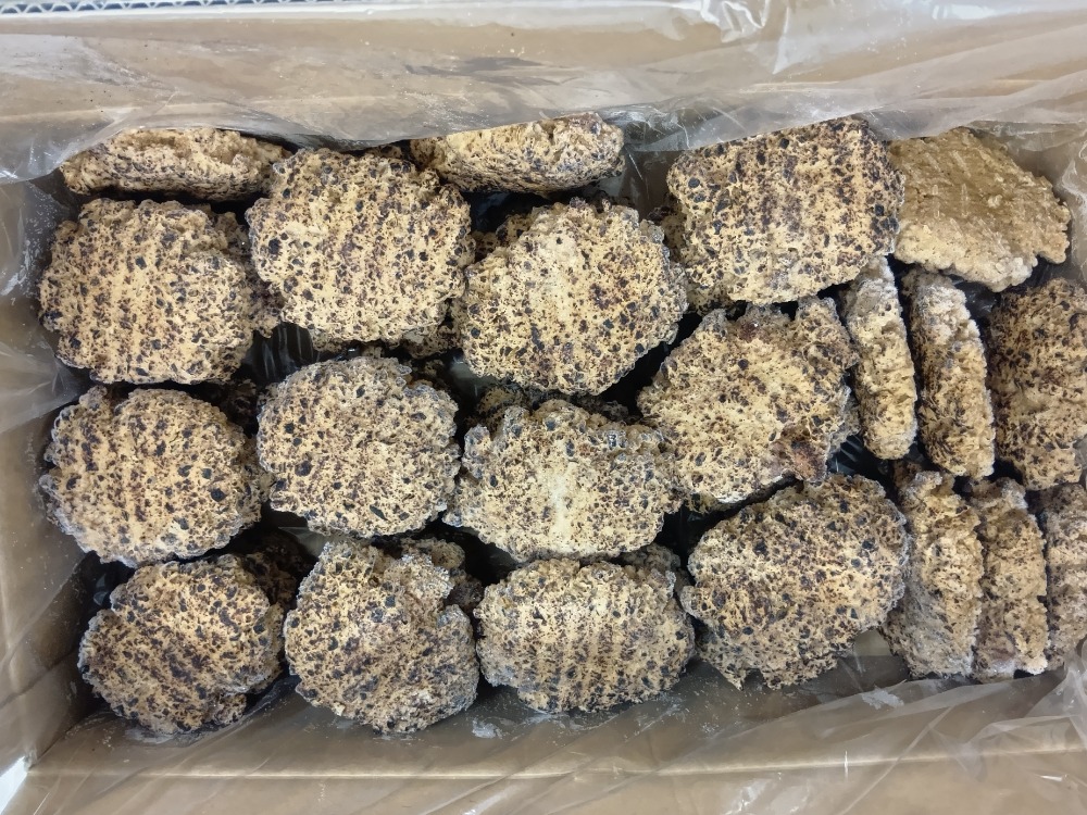 仙台名物　牛たん入りハンバーグ　100ｇ　スチーム　45個入り