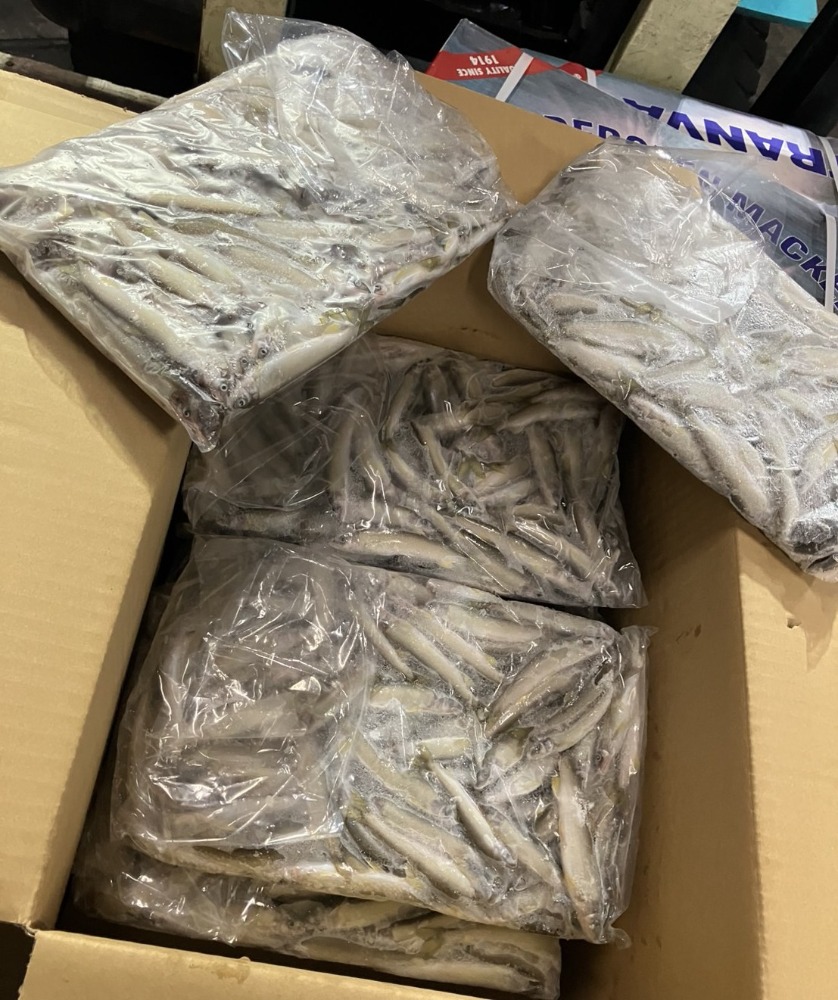 岐阜県産　養殖　稚鮎　冷凍アユ