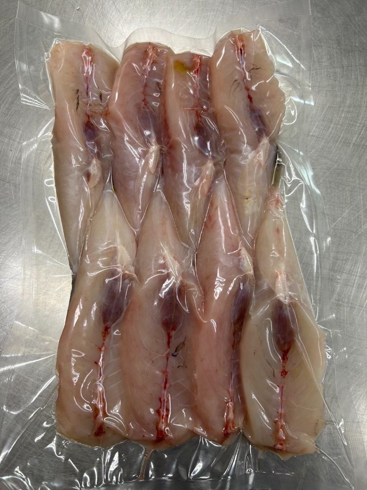 【天然】愛知県産シロサバフグ身欠き　4〜8尾（加熱用）