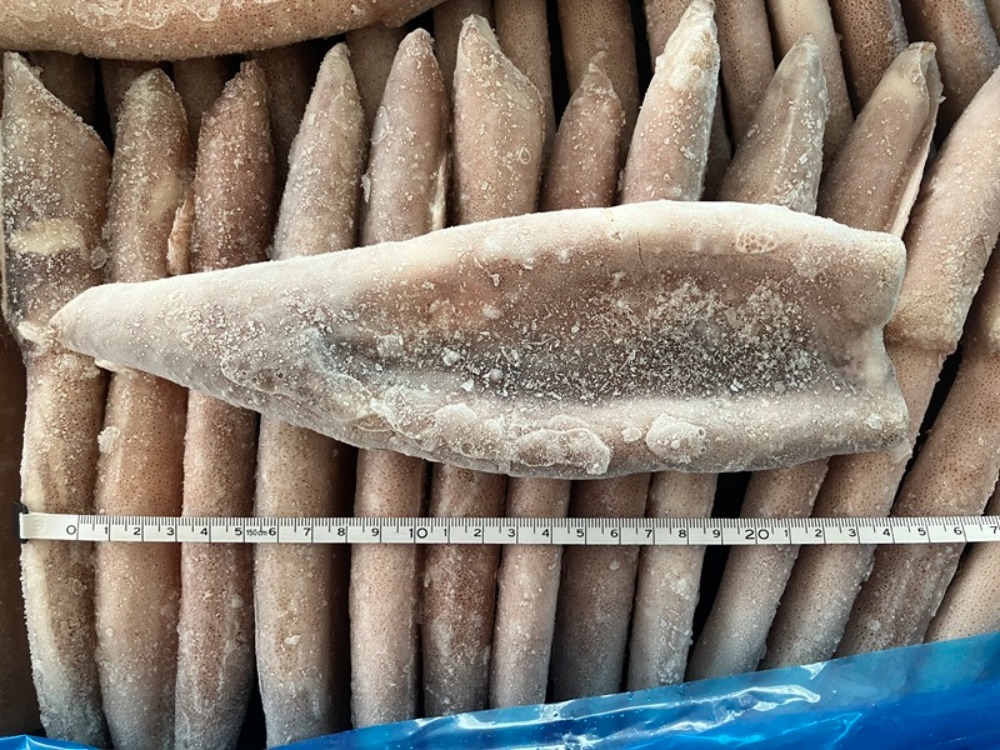 マツイカつぼ抜き40尾