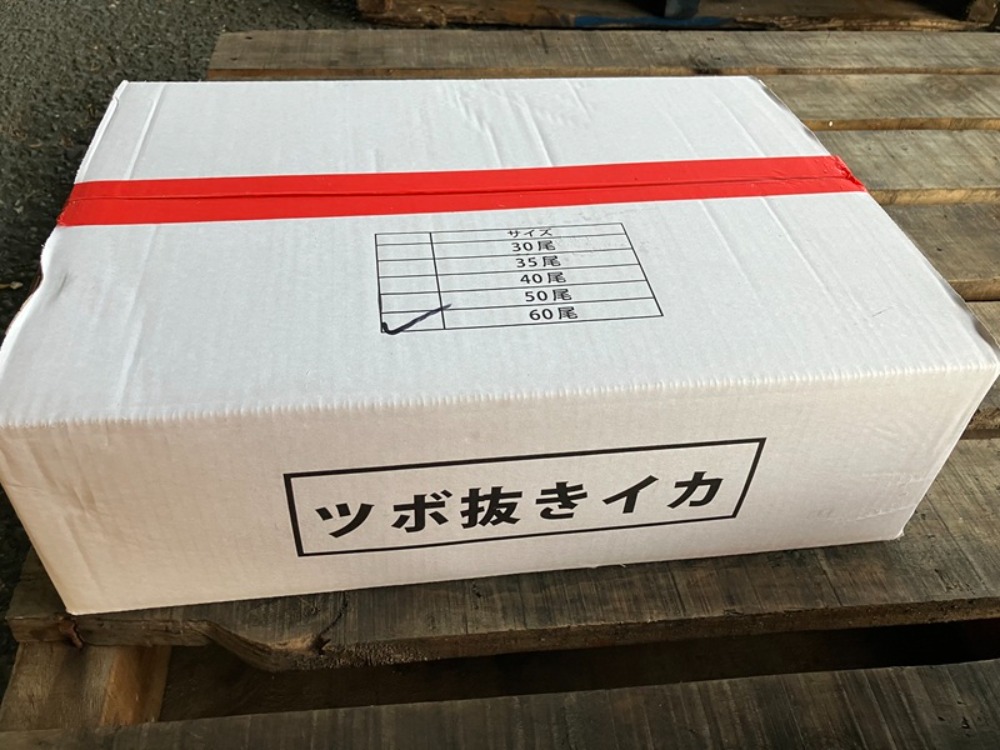 マツイカつぼ抜き60尾