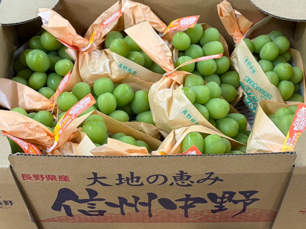 【今が旬】シャインマスカット　皮ごと