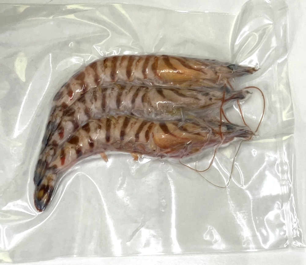 【天然・愛知県産】くるまえび　20〜30g／尾　計90尾　