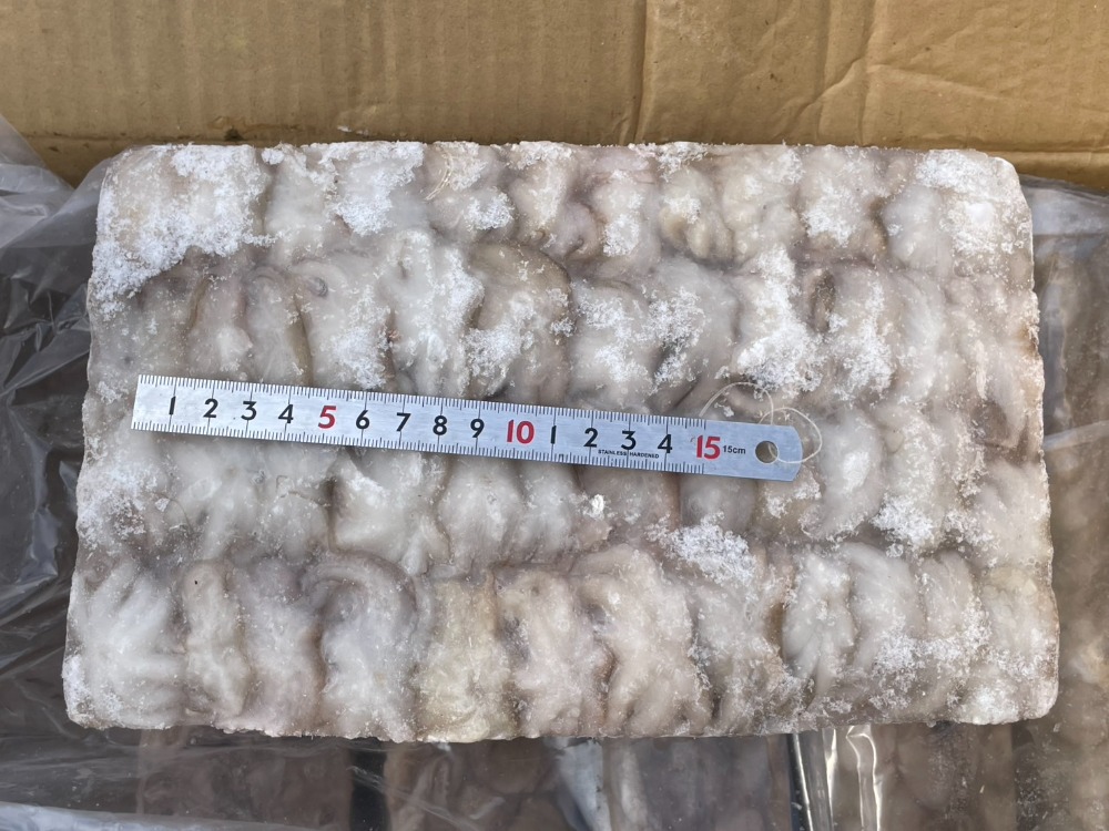 イイダコ（インドネシア産）　ホールクリーン　81/120