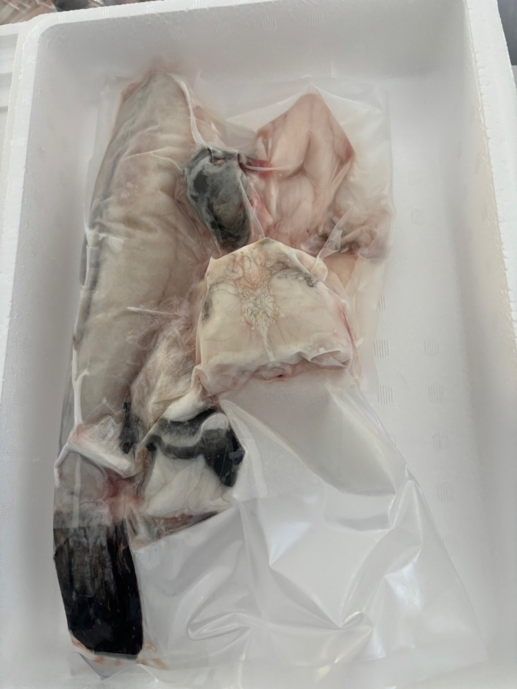 【天然】愛知県産トラフグ身欠き　国産