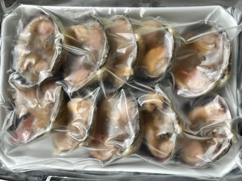 【天然・愛知県産】大アサリ　ハーフカット　★50枚★