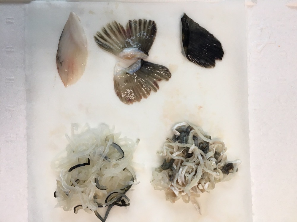 【天然】愛知県産トラフグ身欠き　皮湯引き　国産