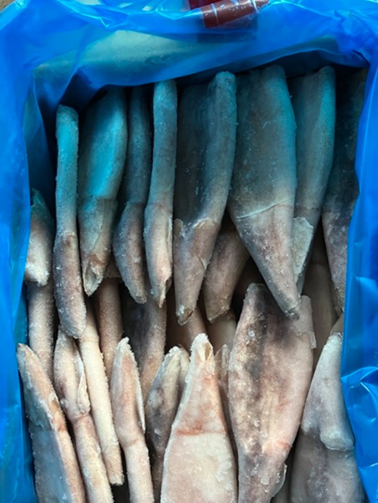 マツイカつぼ抜き60尾