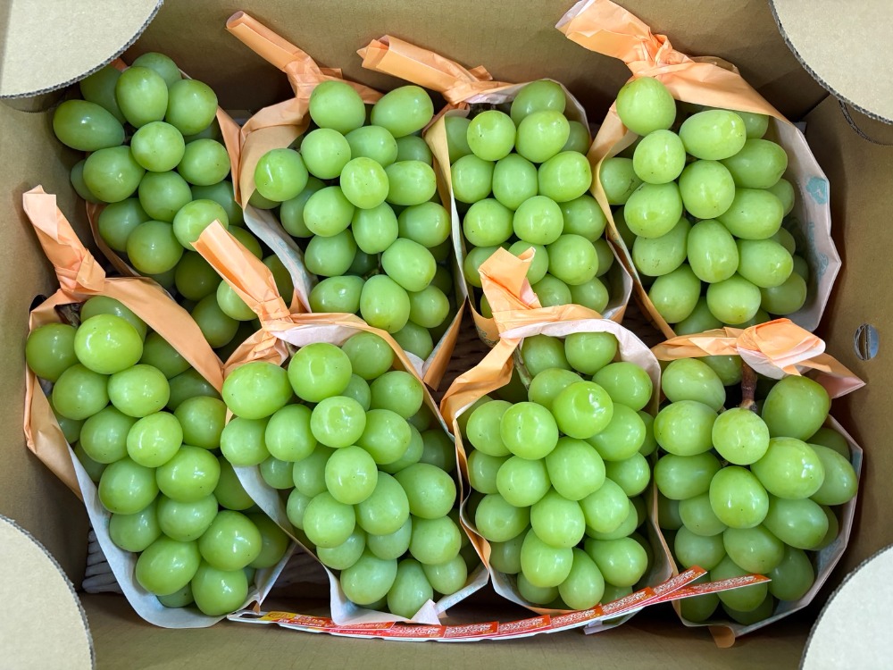 【今が旬】シャインマスカット　皮ごと