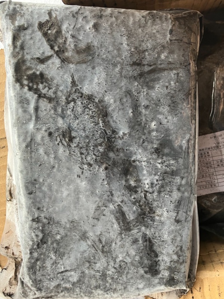 【訳あり商品】イカスミ1ｋ