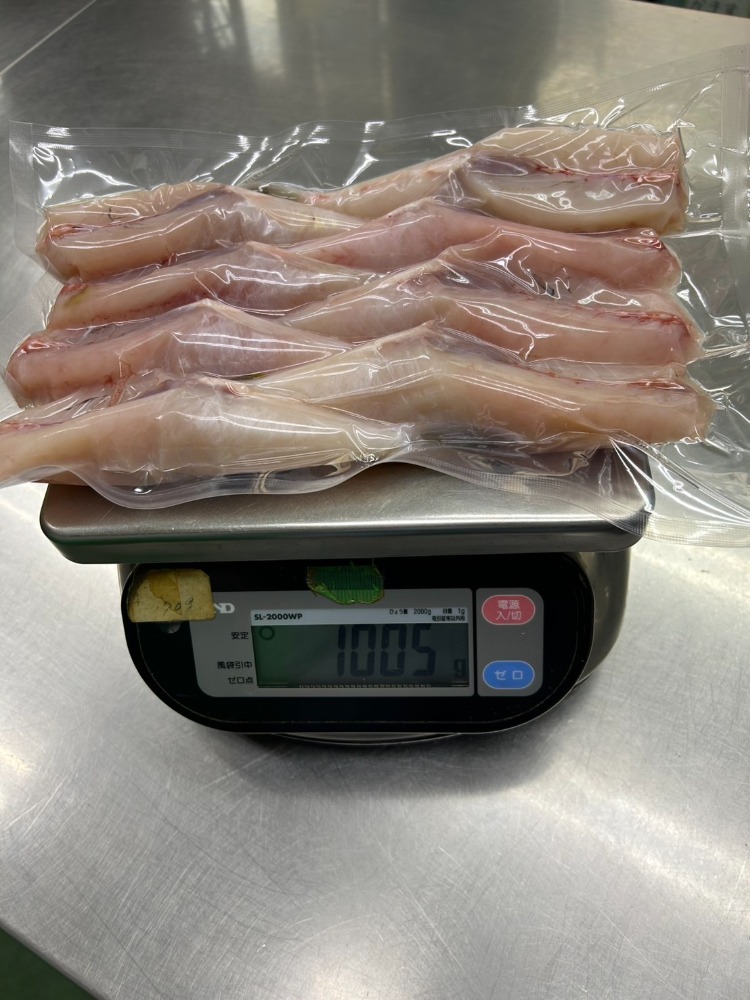 【天然】愛知県産シロサバフグ身欠き　4〜8尾（加熱用）