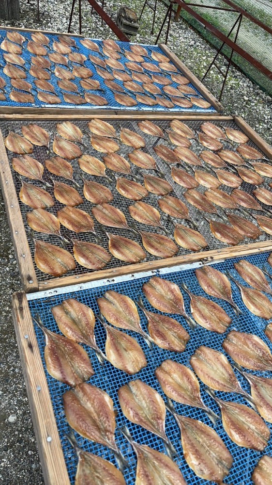 【天日干し】アジみりん干し