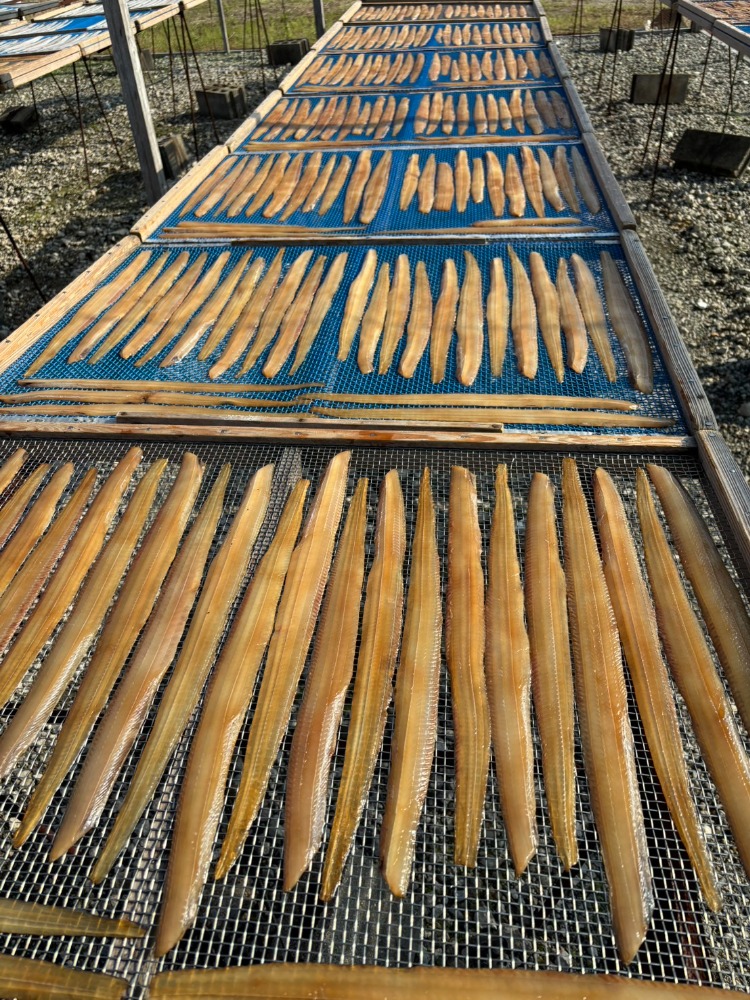 【天日干し】タチウオみりん干し