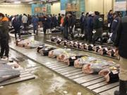 �X�܎ʐ^�E���S