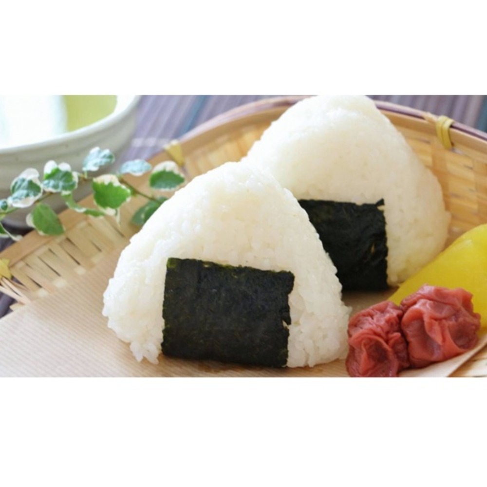 新米！令和7年　京都府京丹後産コシヒカリ　白米10kg