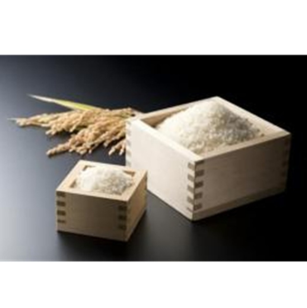 新米！令和7年　京都府京丹後産コシヒカリ　白米10kg