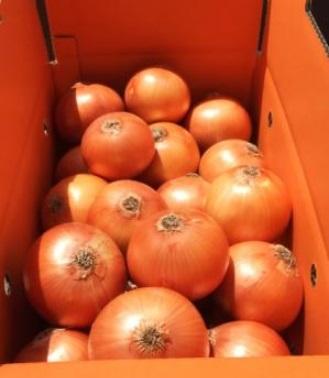 �y�����ʁz�W�H���Y���܂˂��w�Ǐn�Â��܂˂��x���󂠂�(�Ԃ�2S�EB�i)