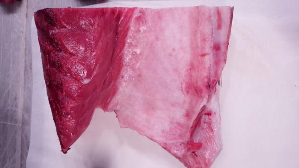 国産　生本まぐろ　かまトロ（蓄養）チルド