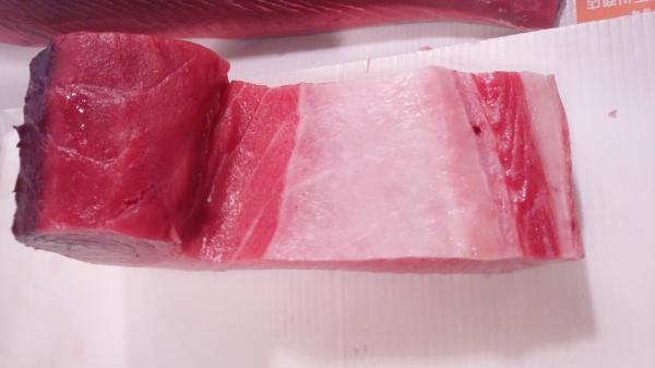 生　国産本まぐろ　トロ（蓄養）チルド