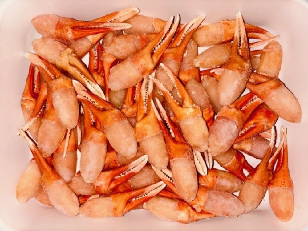 �y���{�C�Y�z�g���킢���ɒ܃|�[�V�����@L�@���ɁE�I�@1kgx10��