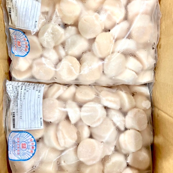 �y���H�p�z�@�ق��ĊL���@�US�T�C�Y�@