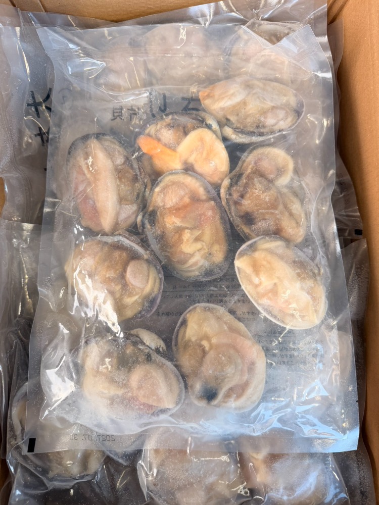 【新商品】【新商品】大あさり（ウチムラサキ/ホンジョウ貝)　片貝　7/10粒