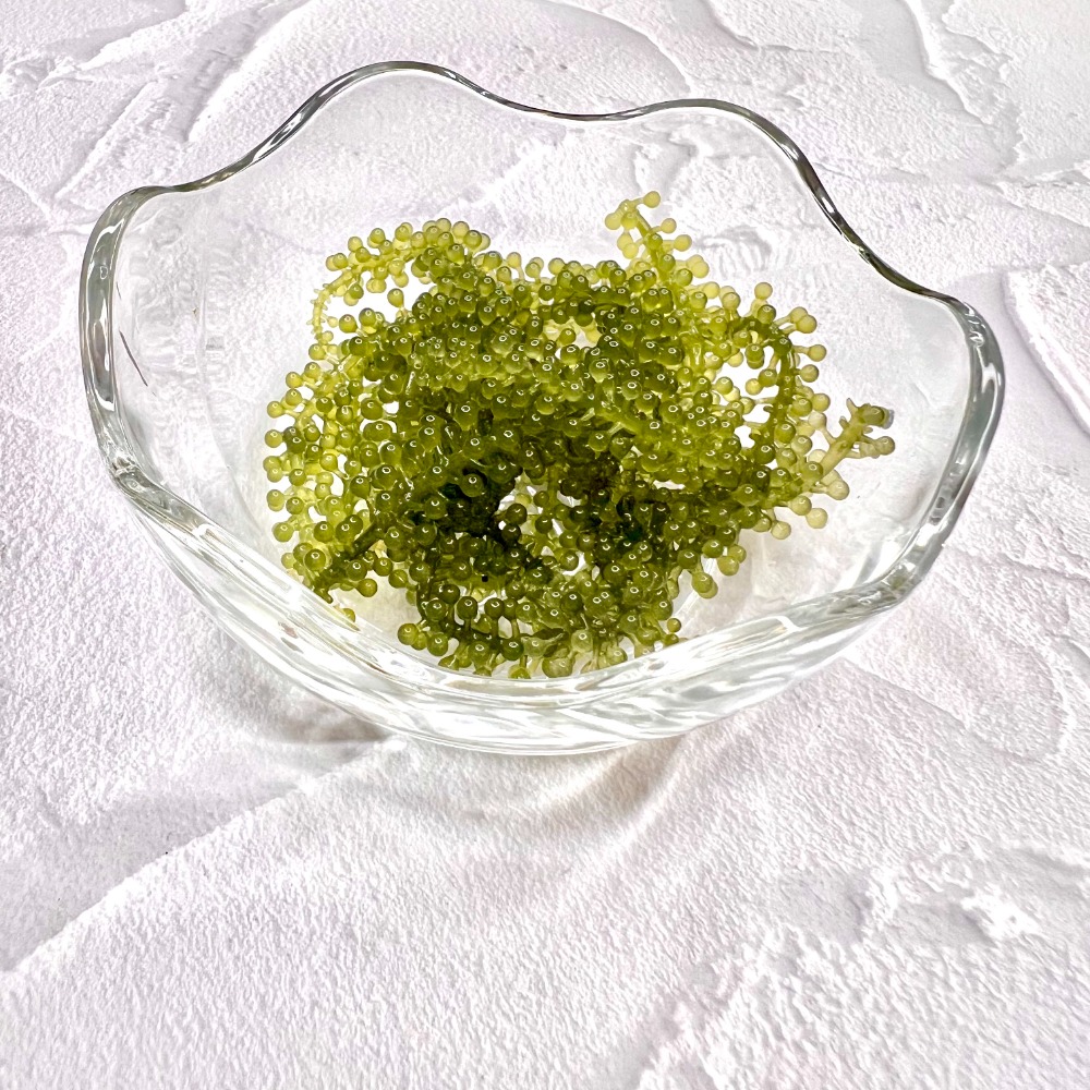 ５倍に膨らむ海ブドウ　20gx10Px20袋【ケース単位】